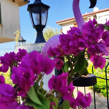Huzur Willa Villa