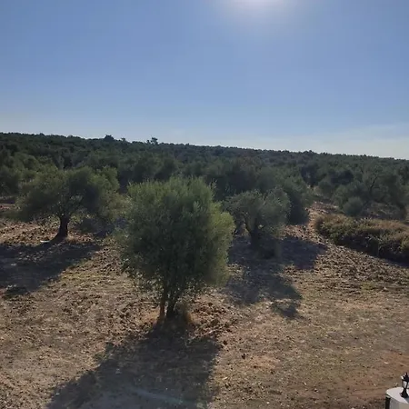 Huzur Willa * Ayvalı