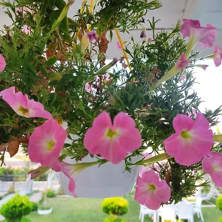 빌라 Huzur Willa *