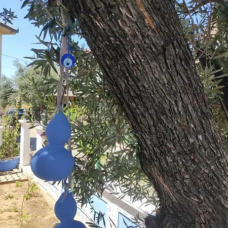 Huzur Willa 빌라